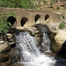 Img 0575 (002)